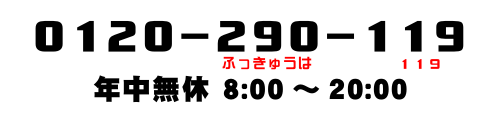 電話: 0120-290-119